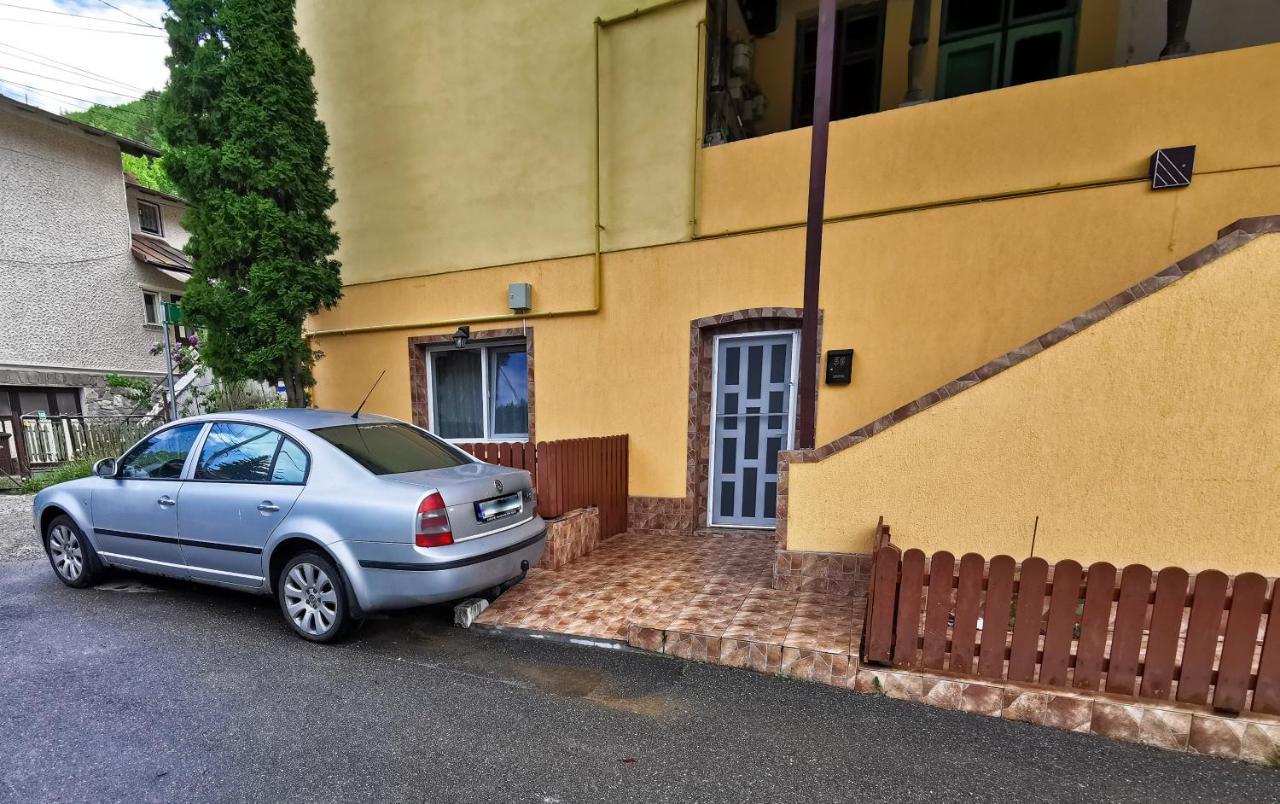Apartament Dilama סינאיה מראה חיצוני תמונה